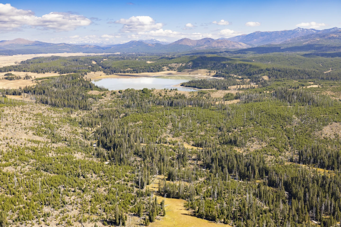 Former Park Superintendents Urge Shutdown of National Parks if Funding is Cut