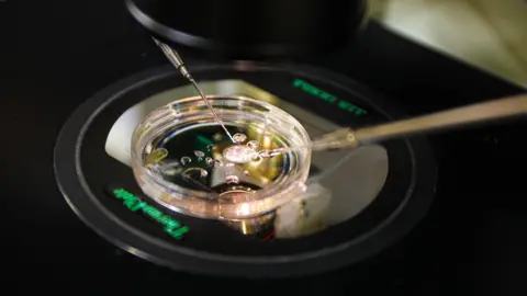 Creating Life: Scientists Make Embryos from Human Skin for the First Time
