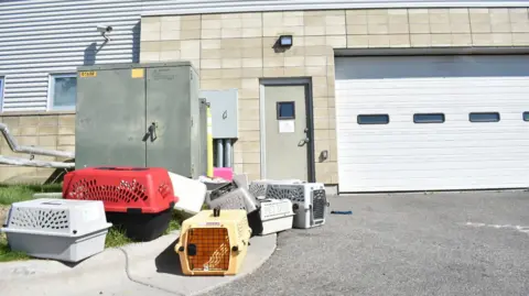 FBI's Burn of Seized Meth Leads to Hospital Strike at Animal Shelter