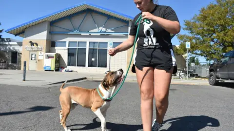 FBI's Drug Incineration at Animal Shelter Causes Health Crisis