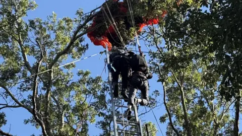 Tragic Skydiving Accident Claims Instructor's Life in Nashville
