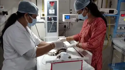 Miracle in Uttar Pradesh: Baby Girl Found Buried Alive Fights for Life