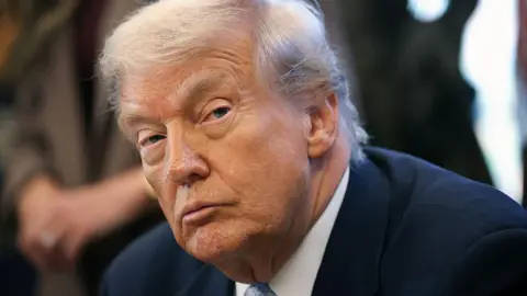 Trump Signs Bill to Release Epstein Files: What You Need to Know