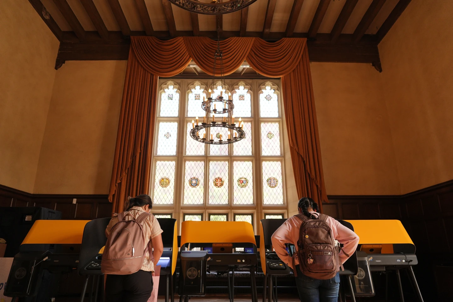 Musk's Claim about Voter ID Laws Debunked