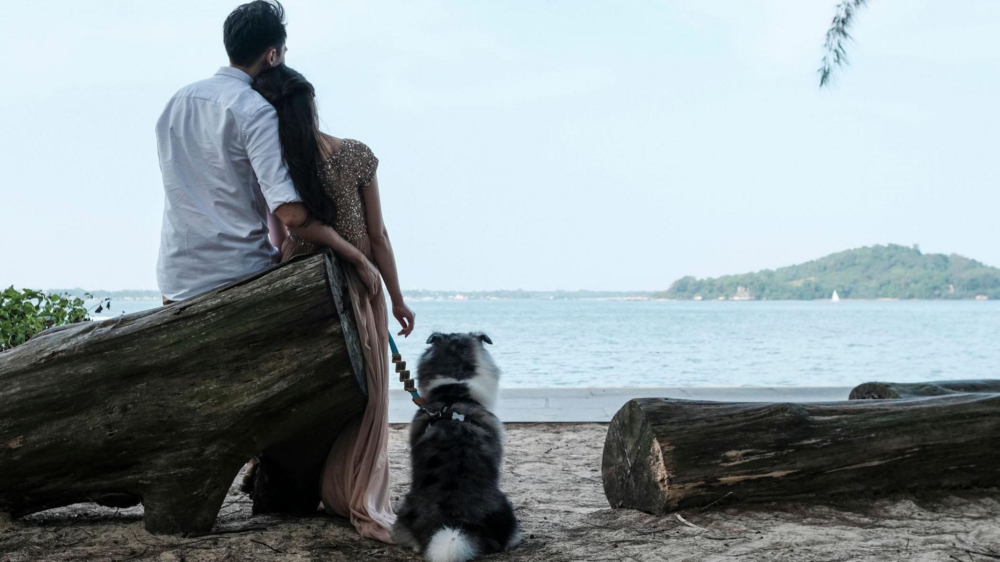 Singapore’s ‘FirstDate’: Government-Run Cupid Tackles Record Low Birthrate