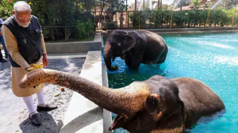 Billionaire Ambani's Private Zoo Investigation Clears Name