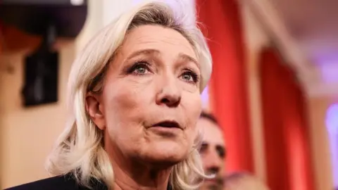 Marine Le Pen's Political Future Hangs in the Balance Amid Appeal