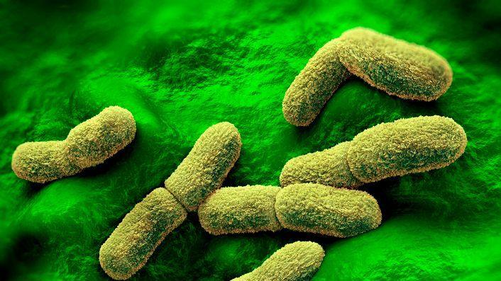 US Watches Siberian Plague Lab After Worker’s Death