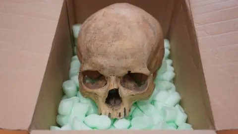 A Skull Returned: A Tourist's Six-Decade Journey Ends in Redemption