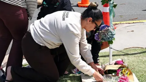 Tragic Landslide in New Zealand: Search Efforts Conclude