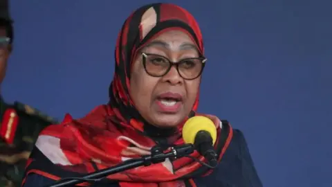 Tanzania's President Acknowledges Damage to National Image Amid Election Unrest