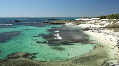 Tragic Shark Attack Claims Life in Western Australia