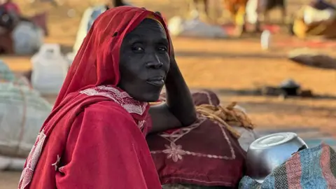 Sudan's El-Fasher: A Grim Echo of Past Atrocities
