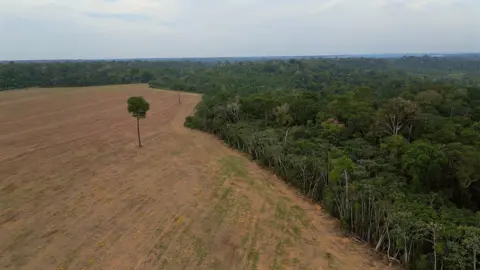 Amazon Rainforest Faces Threat as Key Protection May Be Lifted
