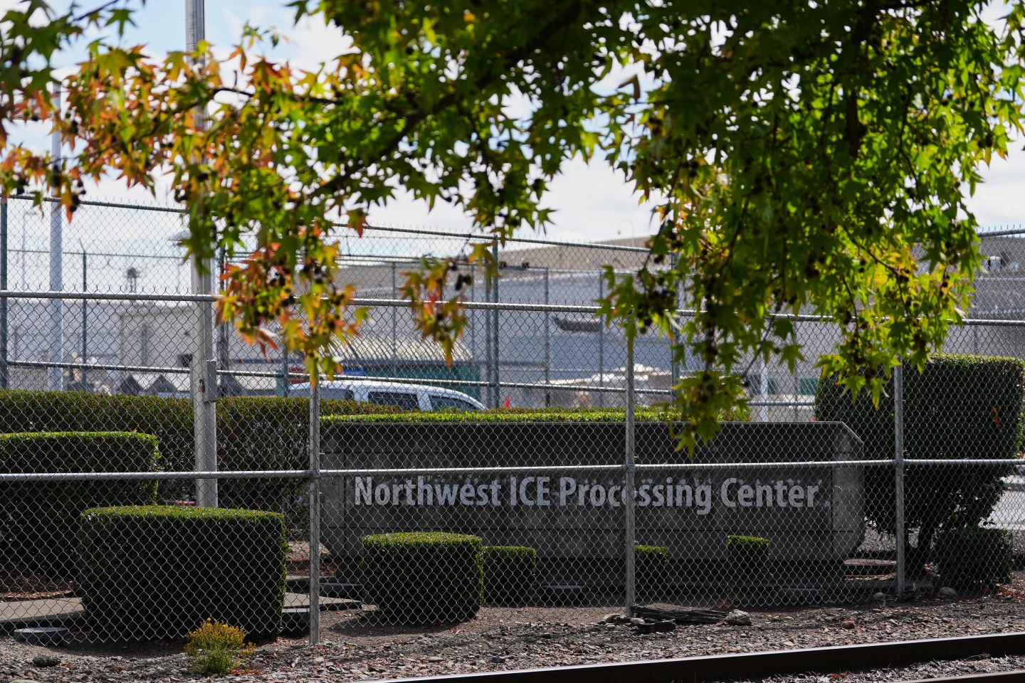 Heartbreaking Story of a Community's Loss: Ramón Rodriguez’s Deportation Experience
