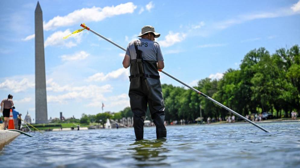 Trump Urges Quick Fix on Algae‑Plagued Reflecting Pool