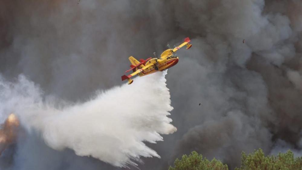 Heatwave and Wildfires: French Firefighters Battle Blazing Fronts