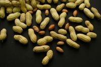 New research shows that introducing peanut products to babies early can significantly reduce peanut allergies, impacting over 60,000 children in the U.S.