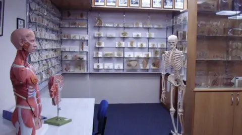 Tasmania's Apology: Addressing the Body Parts Controversy