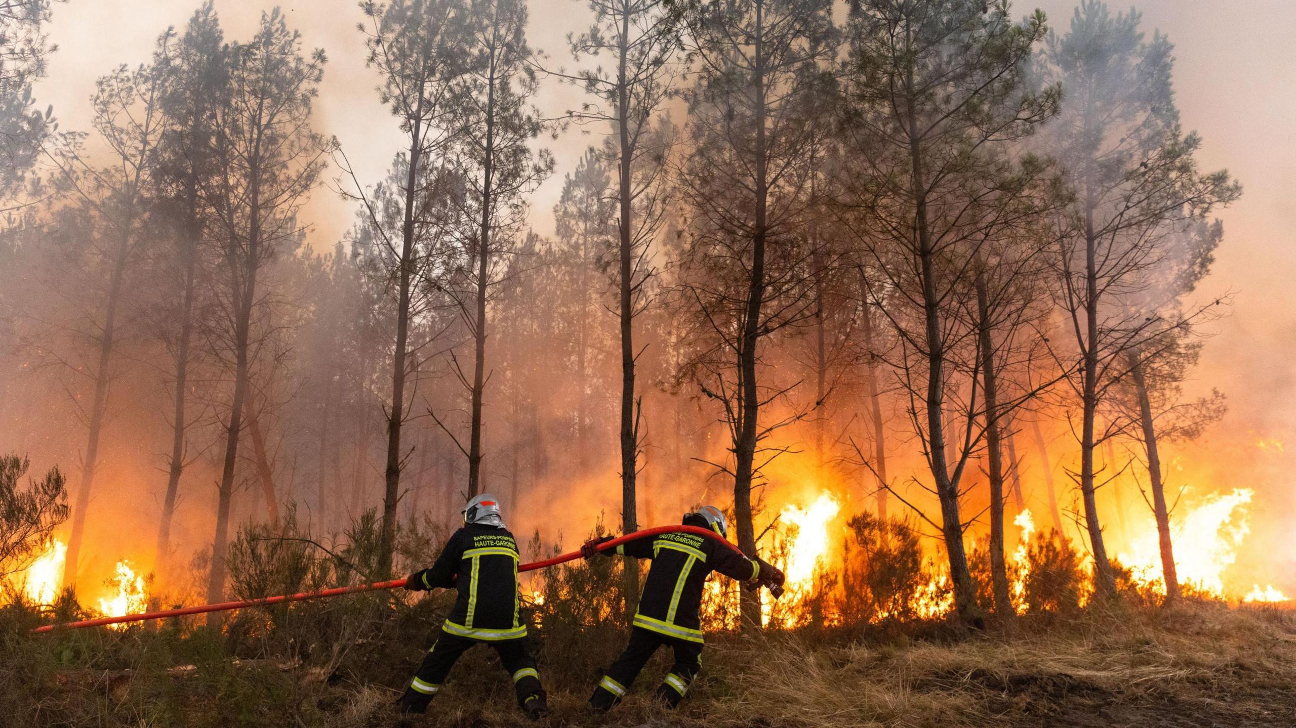 Wildfires Across Europe: A Wall of Flames Triggers Fear & Stress
