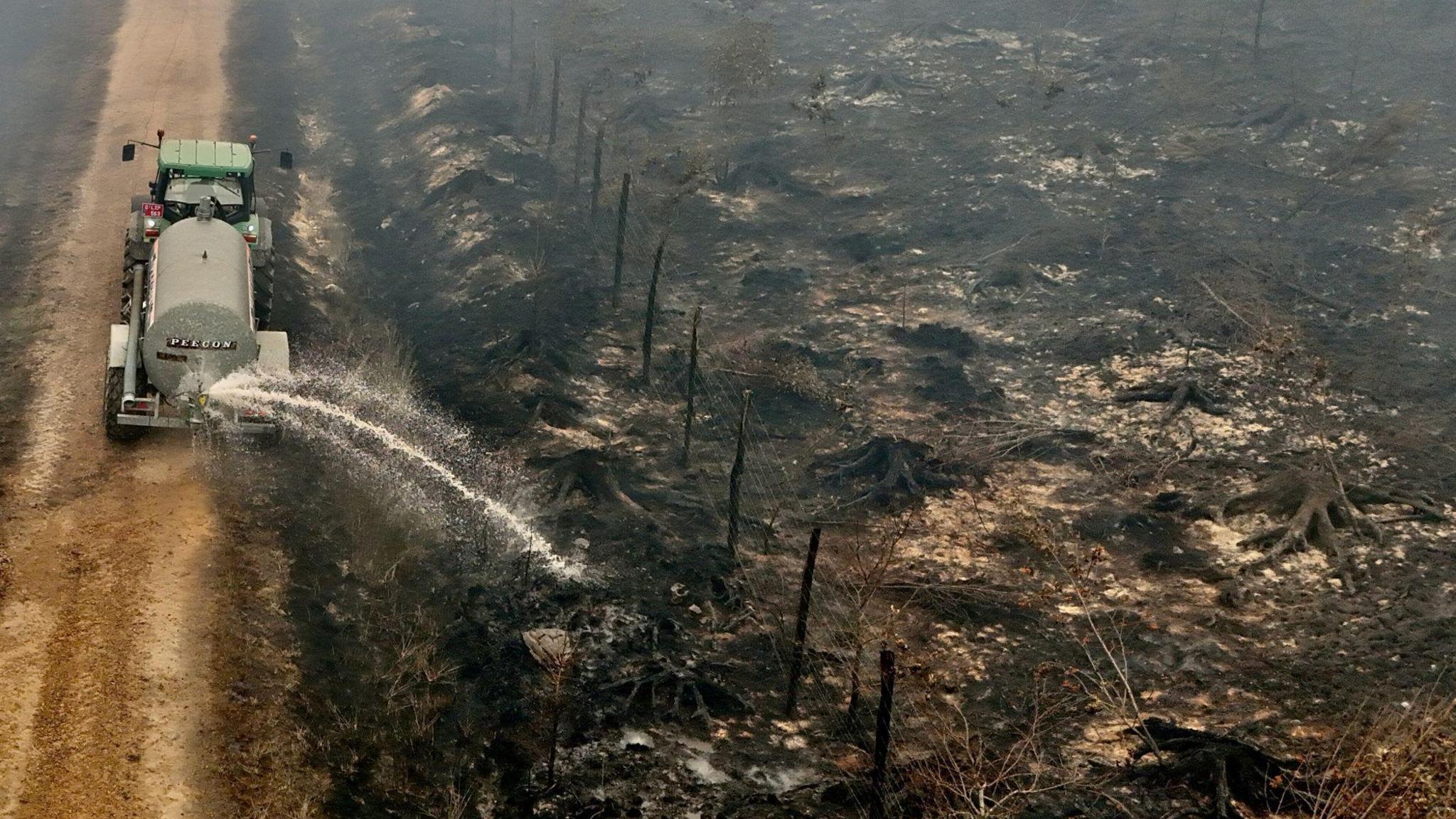 Belgian Wildfire Rages Through Nature Reserve, Size Doubles in 24 Hours