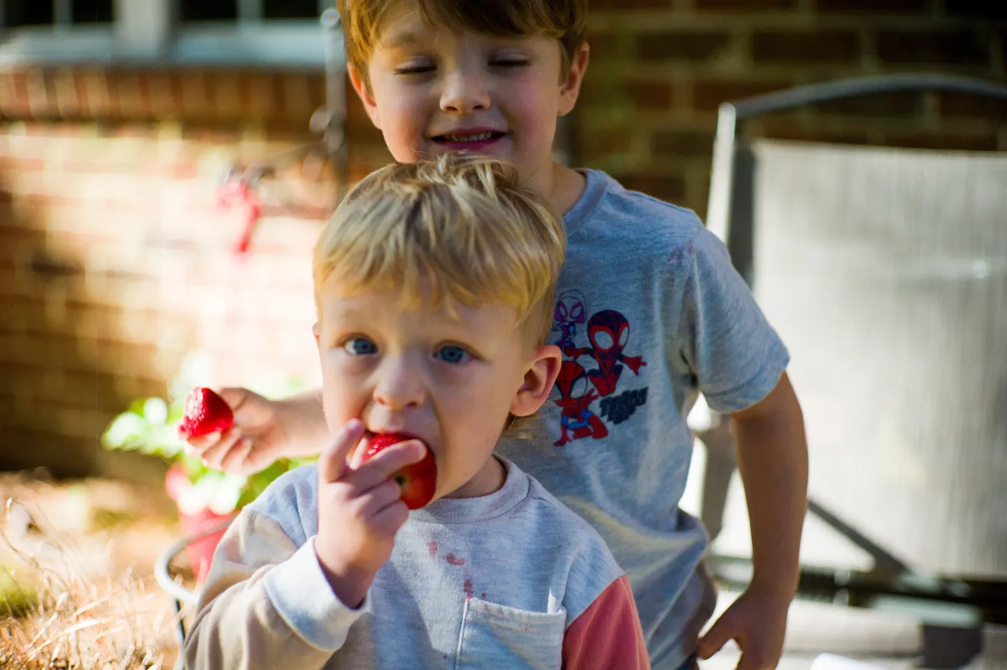 WIC Food Aid Program Saved from Shutdown
