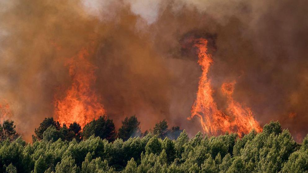 Heatwave in France Leaves 2,000 Extra Deaths, Europe Faces Rising Temperatures
