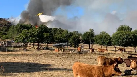 Spain's Summer of Wildfires: A Fiery Reckoning