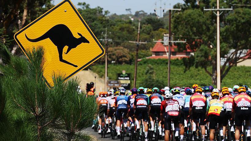 Kangaroo Chaos at Tour Down Under: Jay Vine Triumphs