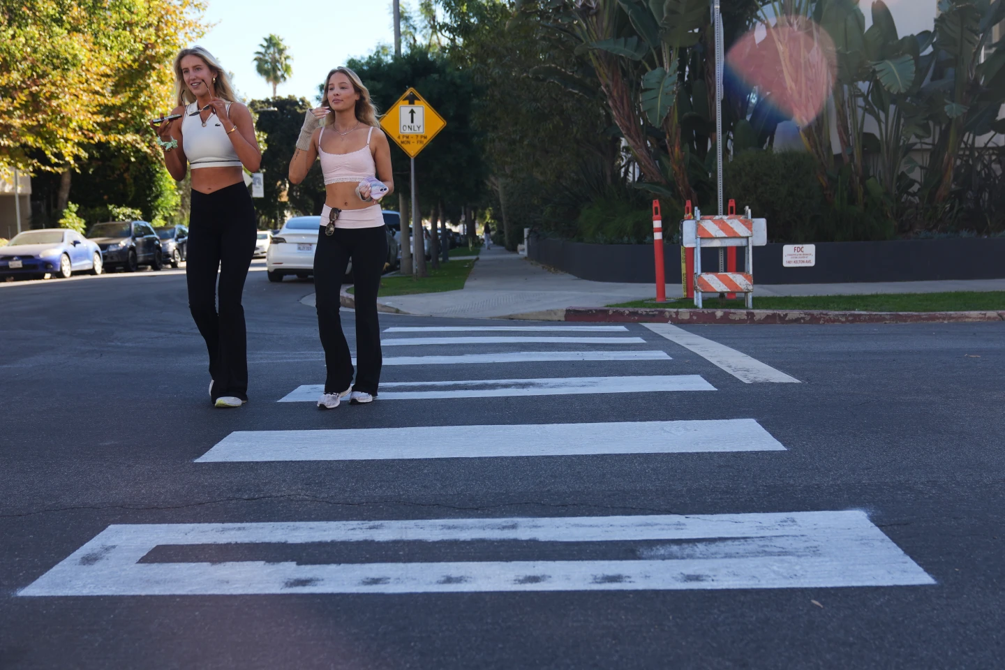Activist Arrested for DIY Crosswalk Painting in LA