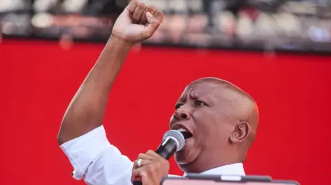 Fireworks or Criminality? Julius Malema's Gun Incident in South Africa
