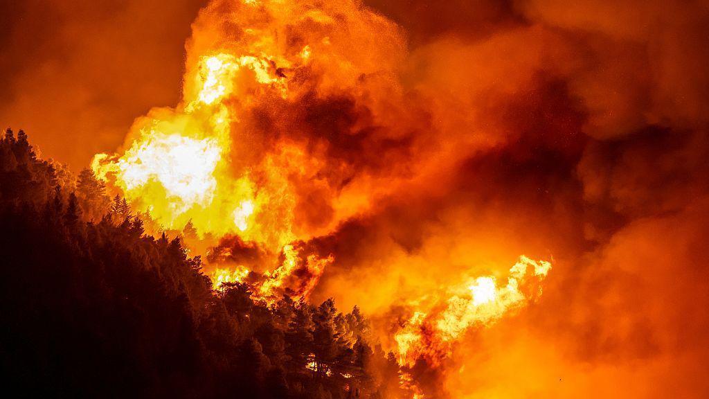 Wildfire Chaos Hits Croatia’s Coast