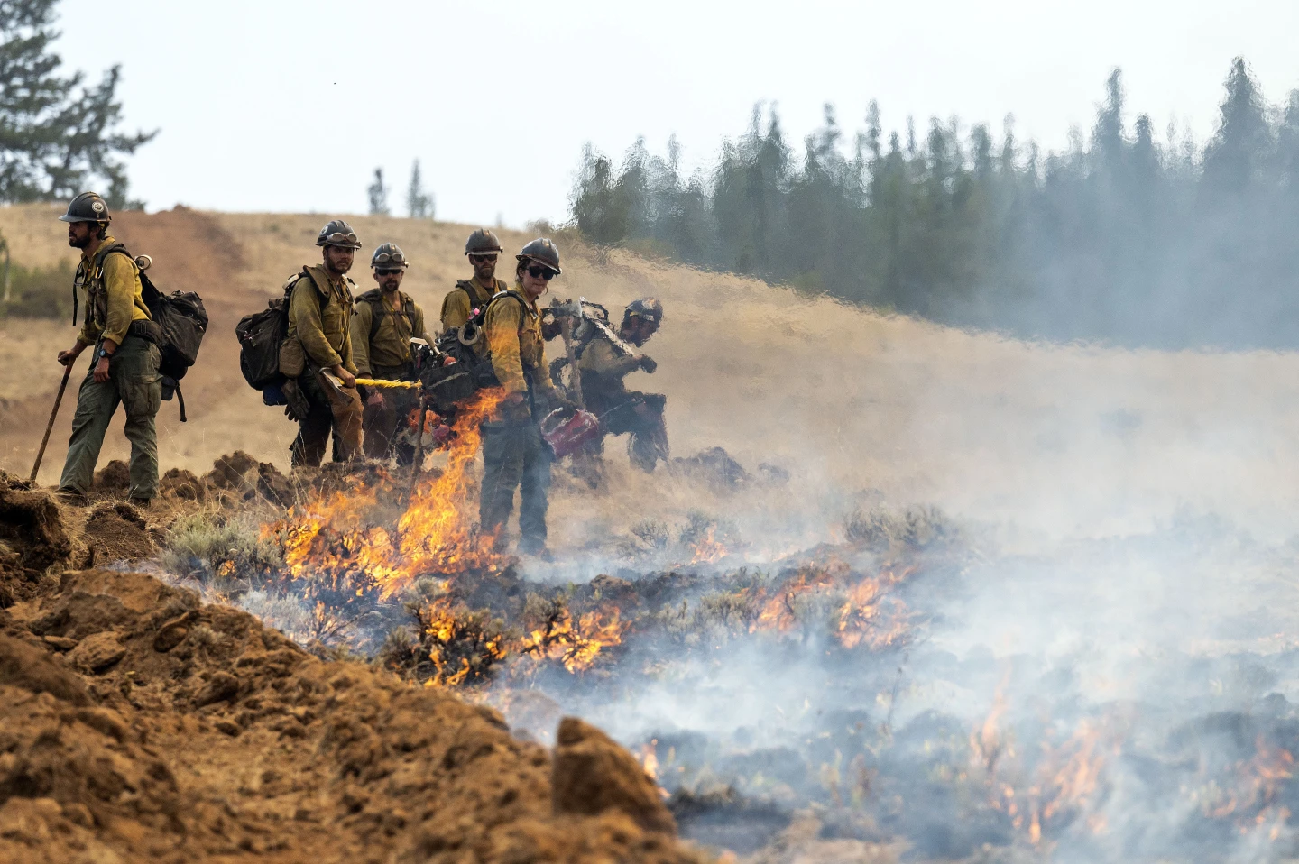 Firefighter Detained by Border Patrol During Wildfire Response
