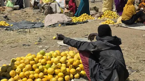 Amidst War: Food Spoils in Sudan's Bountiful Jebel Marra