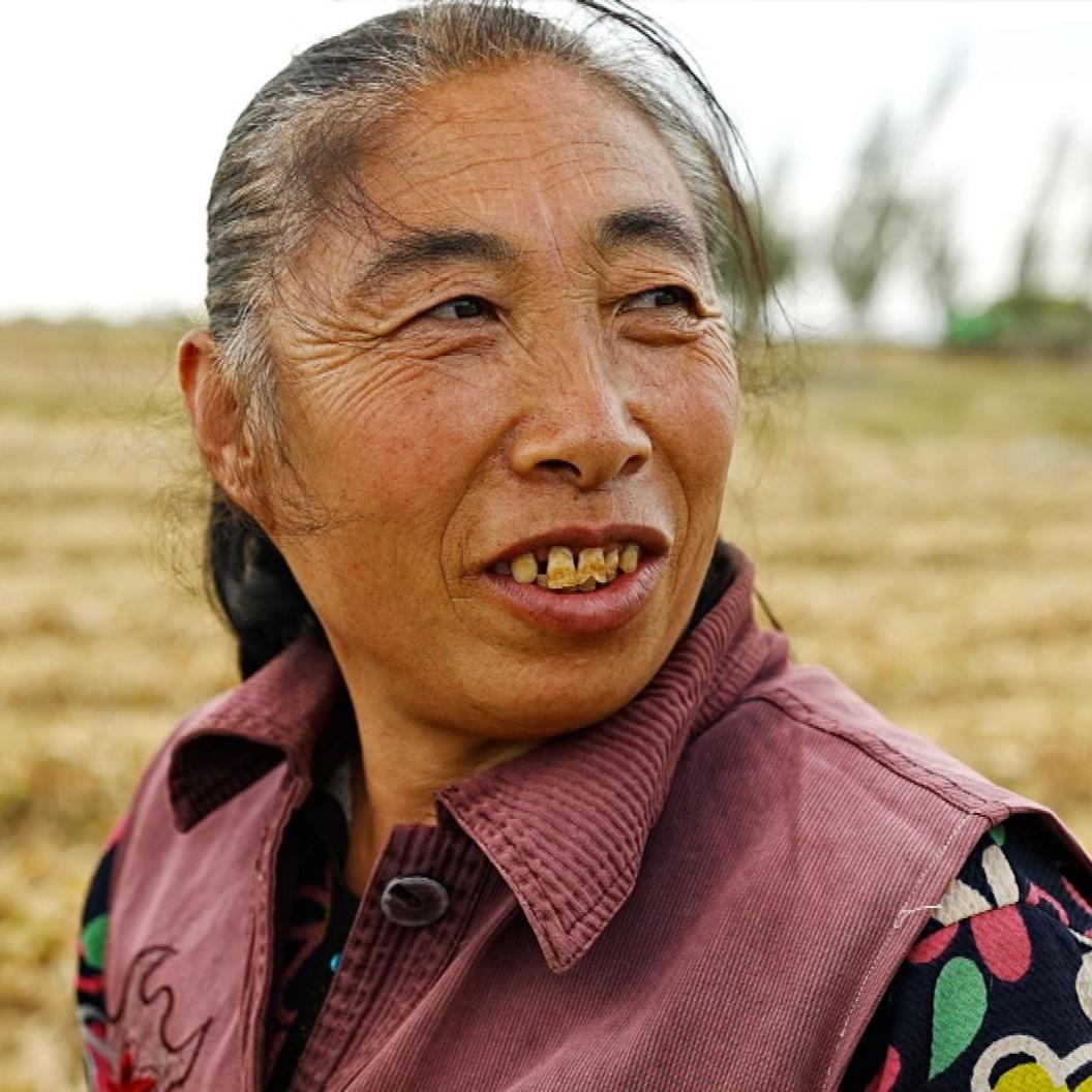 China’s Data‑Colt Farming: AI Powerhouses Growing on the Steppe