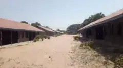 Mass Kidnapping at Nigerian School: 315 Victims