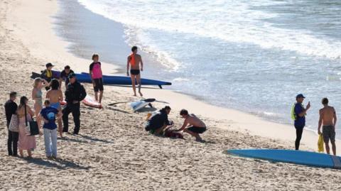 Sydney Shock: Woman Hospitalized After Shark Bite