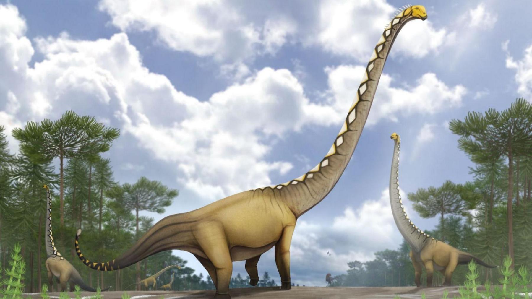 Uragasaurus kalasinensis: Thailand’s New 20‑Metre Mamenchisauridae