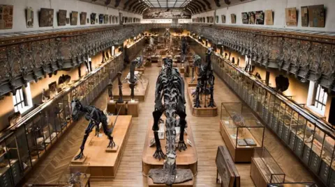 Major Heist: Woman Charged for Stealing €1.5 Million in Gold from Paris Museum