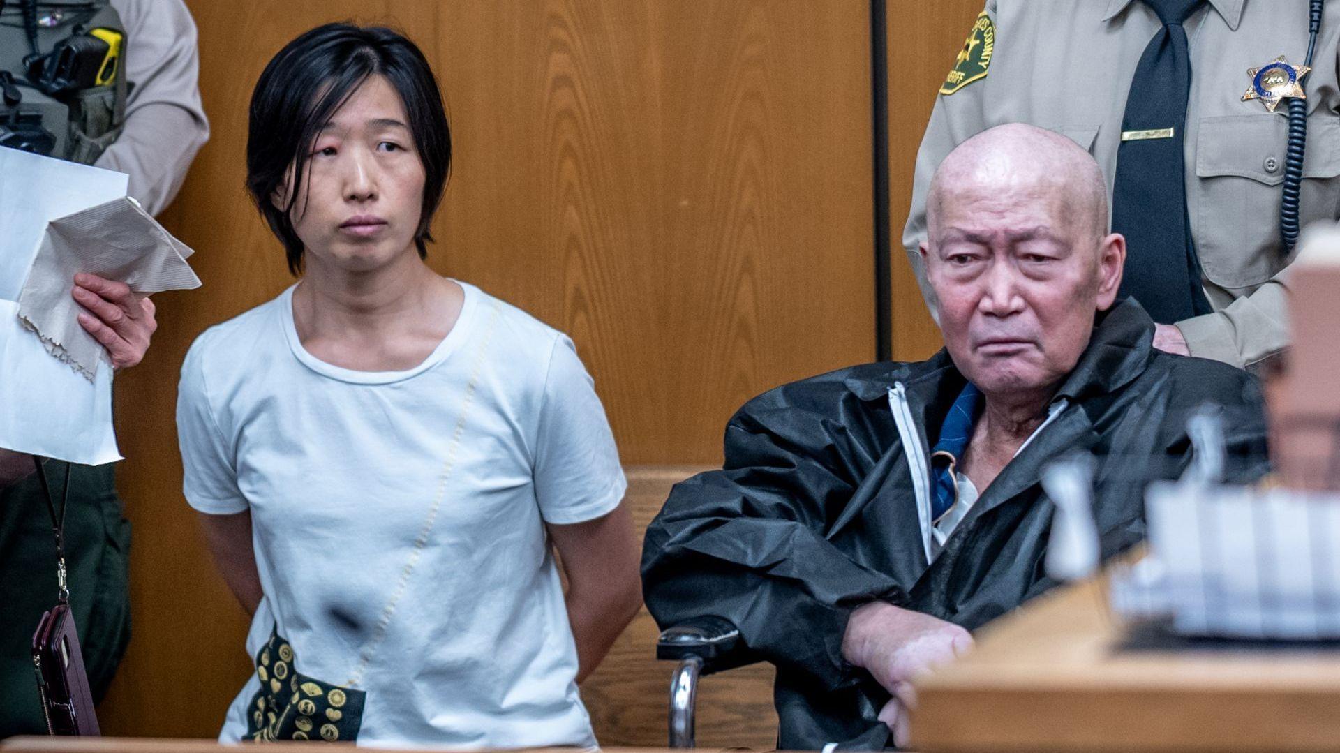 California Surrogacy Couple Faces Charges in Child Abuse Scare