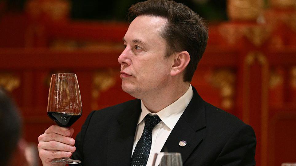 Elon Musk Says 'Let’s Enjoy the Ride' as AI Fears Rock Us